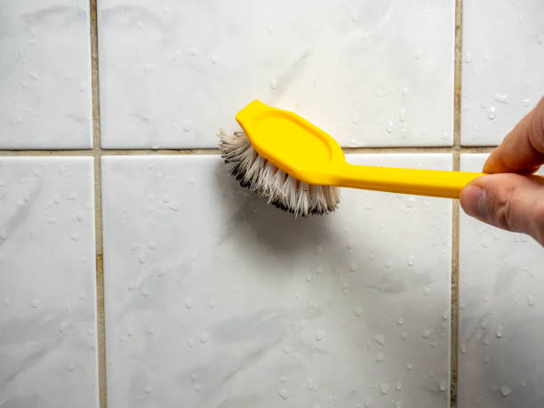 Best Mold Testing  in Gibbstown, NJ
