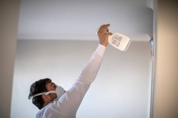 Best Mold Removal Process  in Gibbstown, NJ