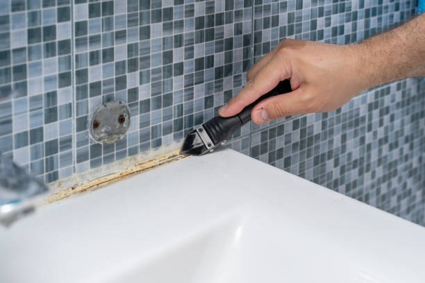 Best Mold Cleaning Services  in Gibbstown, NJ